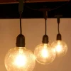 WeRChristmas 10 LED Transparent Festoon Light String, Warm White, 4.5 M^ Festoon Lights