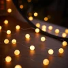 WeRChristmas 80 Pastel Warm White Micro LED Berry Lights, 2.4 M^ Fairy Lights|Tree Lights