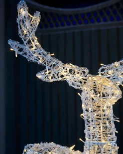 WeRChristmas 3D Acrylic Reindeer Decoration, 122 Cm^ Outdoor Lighted Reindeer