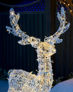 WeRChristmas 3D Acrylic Reindeer Decoration, 122 Cm^ Outdoor Lighted Reindeer