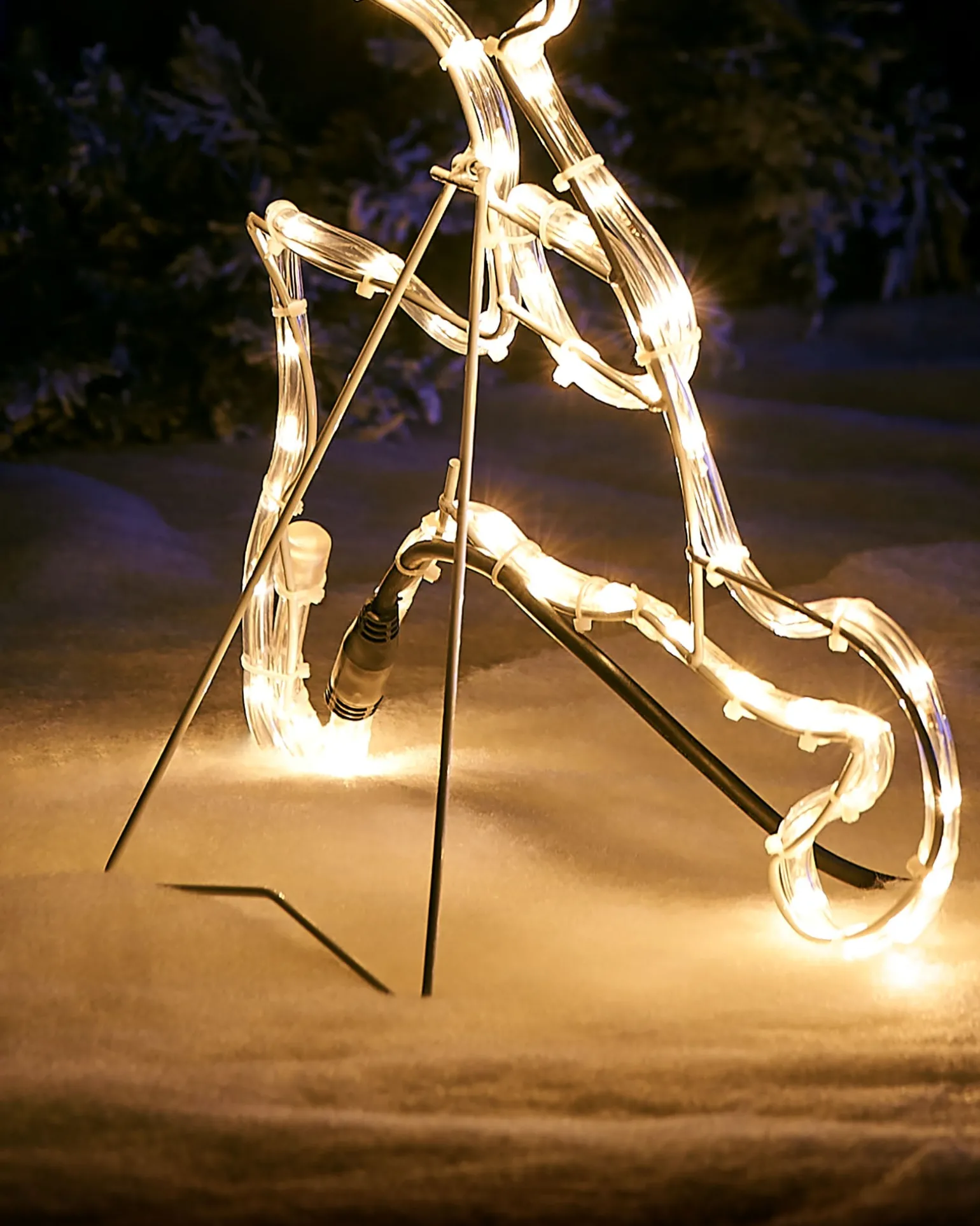 WeRChristmas 2D Reindeer LED Rope Light Silhouette, 60 Cm^ Outdoor Lighted Reindeer