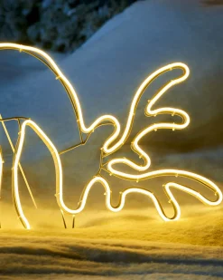 WeRChristmas Grazing Reindeer Neon Rope Light Silhouette, 82 Cm^ Outdoor Lighted Reindeer