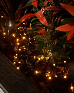 WeRChristmas LINK PRO LED Cluster Lights, Black Cable, Warm White / White^ Link Pro|Cluster Lights