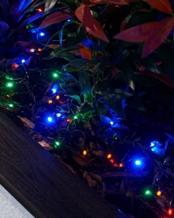WeRChristmas LINK PRO LED Cluster Lights, Black Cable, Multi Colour^ Link Pro|Connectable Lights