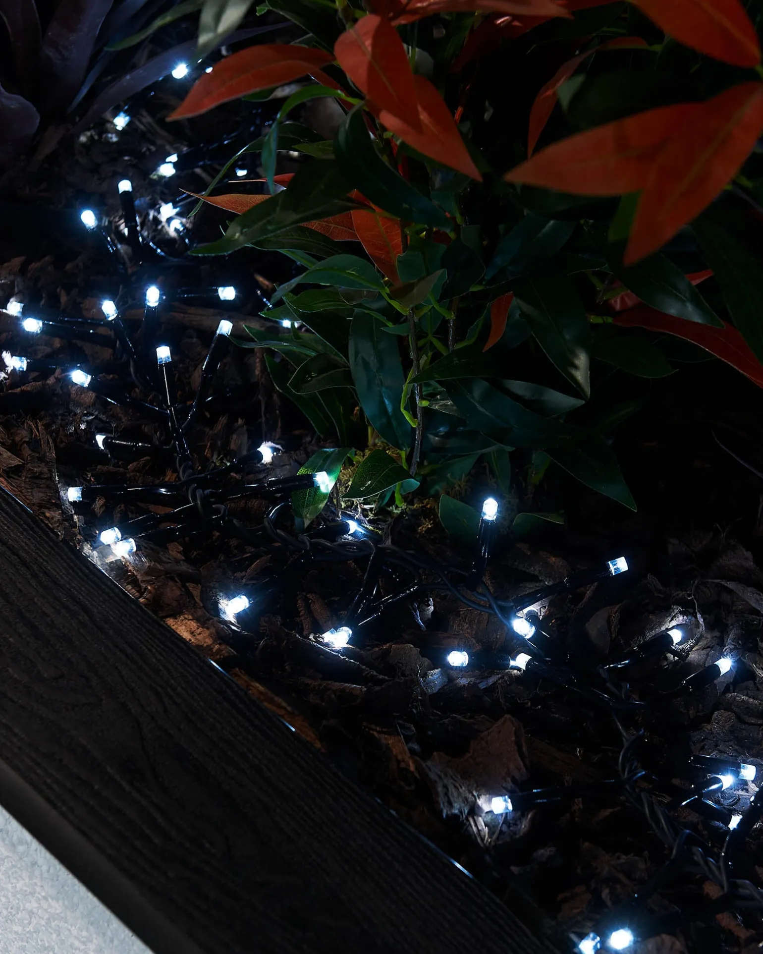 WeRChristmas LINK PRO LED Cluster Lights, Black Cable, White^ Link Pro|Cluster Lights