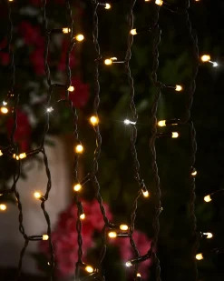 WeRChristmas LINK PRO LED Curtain Lights, Black Cable, 2.5 M Drop, Warm White / White^ Link Pro|Curtain & Net Lights
