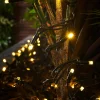 WeRChristmas LINK PRO LED String Lights, Black Cable, Gold^ Link Pro|Fairy Lights