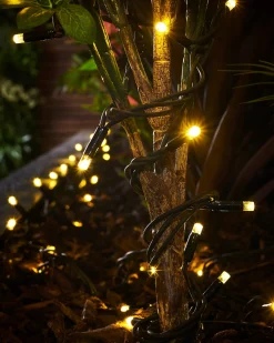 WeRChristmas LINK PRO LED String Lights, Black Cable, Gold^ Link Pro|Fairy Lights