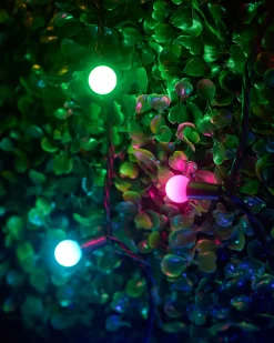 WeRChristmas LINK UP LED Berry Lights, Black Cable, Pastel Multi Colour^ Link Up|Fairy Lights