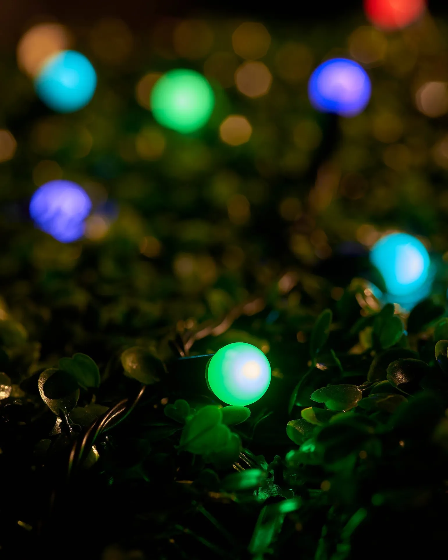 WeRChristmas LINK UP LED Berry Lights, Black Cable, Pastel Multi Colour^ Link Up|Fairy Lights