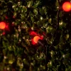WeRChristmas LINK UP LED Berry Lights, Black Cable, Red^ Link Up|Fairy Lights