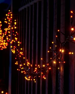 WeRChristmas LINK UP LED Cluster Lights, Black Cable, Autumn Colour^ Link Up|Cluster Lights