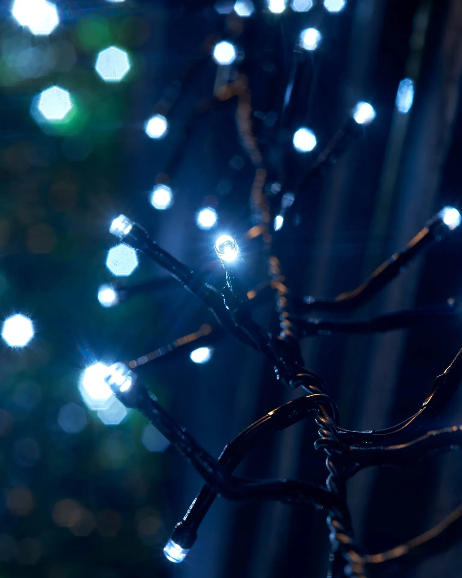 WeRChristmas LINK UP LED Cluster Lights, Black Cable, White^ Link Up|Connectable Lights
