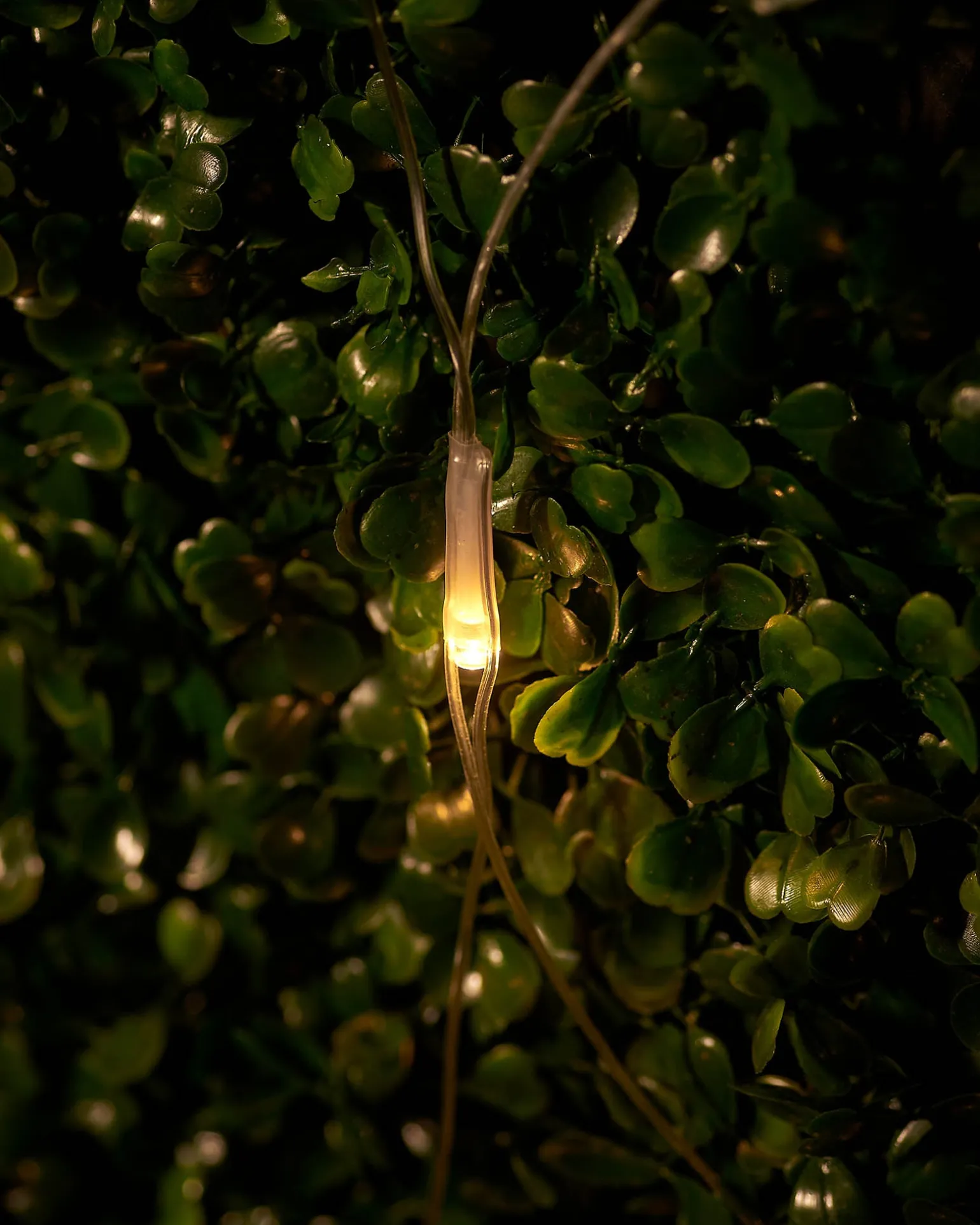 WeRChristmas LINK UP LED Net Lights, 3 M X 3 M, Warm White^ Link Up