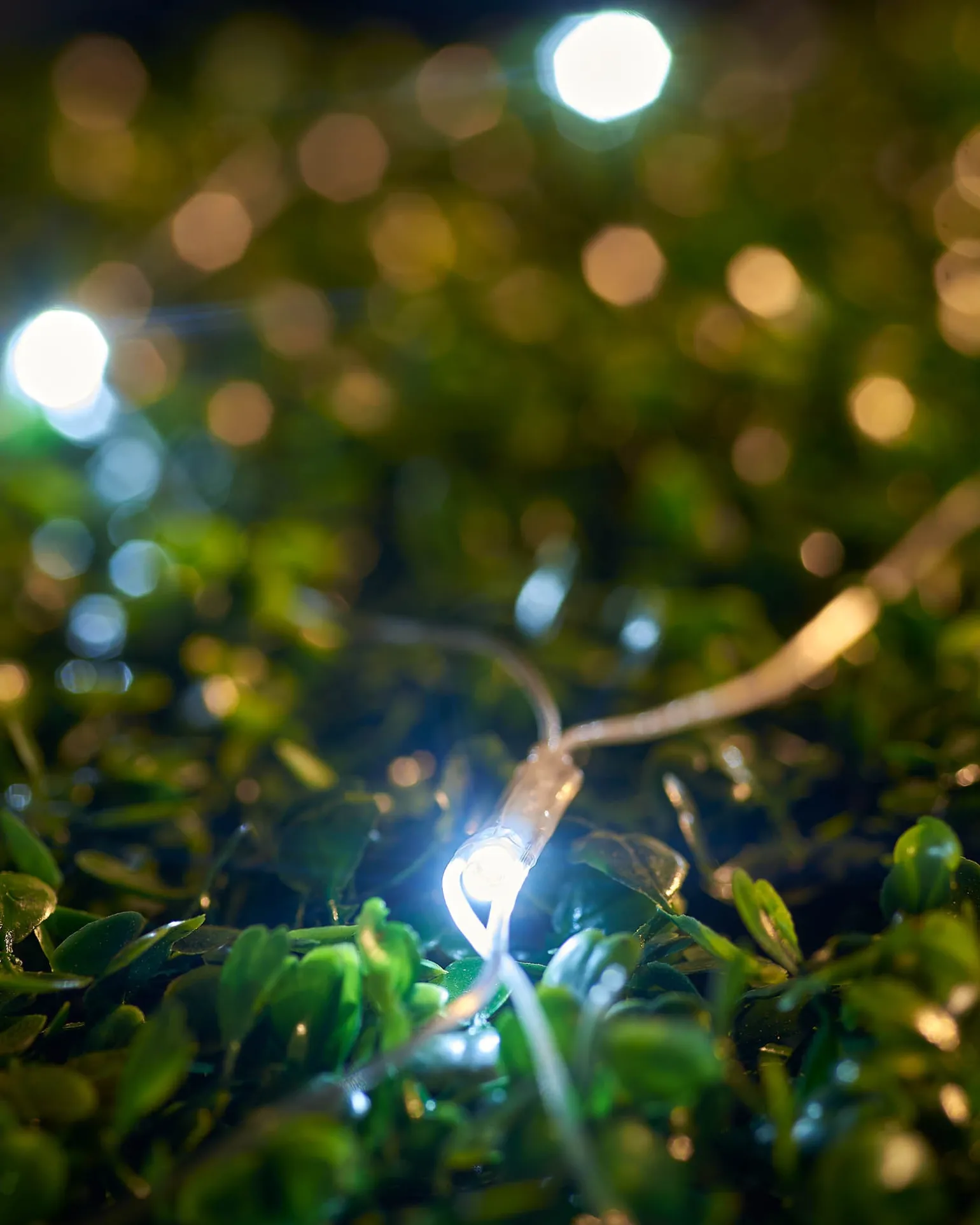 WeRChristmas LINK UP LED Net Lights, 3 M X 3 M, White^ Link Up|Curtain & Net Lights