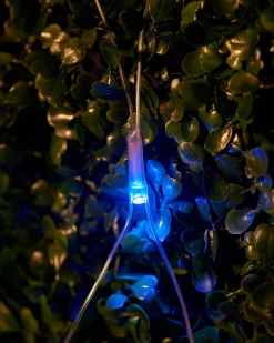 WeRChristmas LINK UP LED Net Lights, 3 M X 3 M, Multi Colour^ Link Up|Connectable Lights
