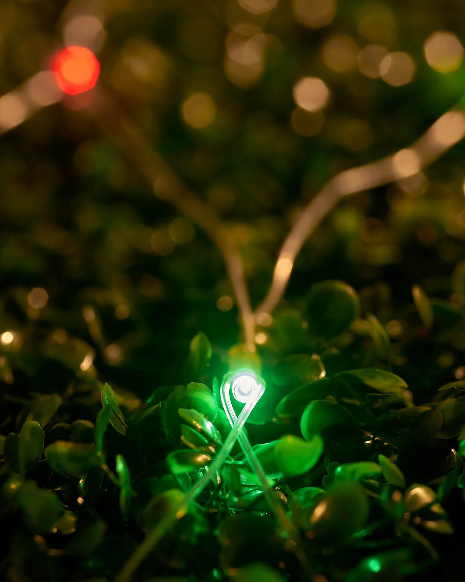 WeRChristmas LINK UP LED Net Lights, 3 M X 3 M, Multi Colour^ Link Up|Connectable Lights
