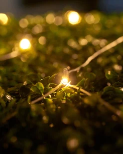 WeRChristmas LINK UP LED Net Lights, 2 M X 2 M, Warm White^ Link Up|Curtain & Net Lights