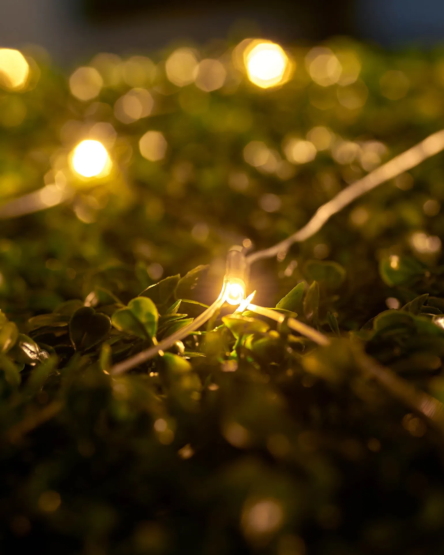 WeRChristmas LINK UP LED Net Lights, 2 M X 2 M, Warm White^ Link Up|Curtain & Net Lights