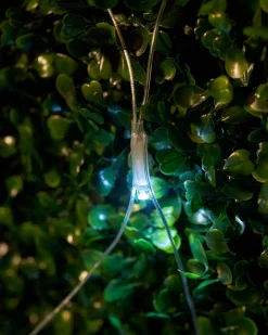 WeRChristmas LINK UP LED Net Lights, 2 M X 2 M, White^ Link Up|Curtain & Net Lights