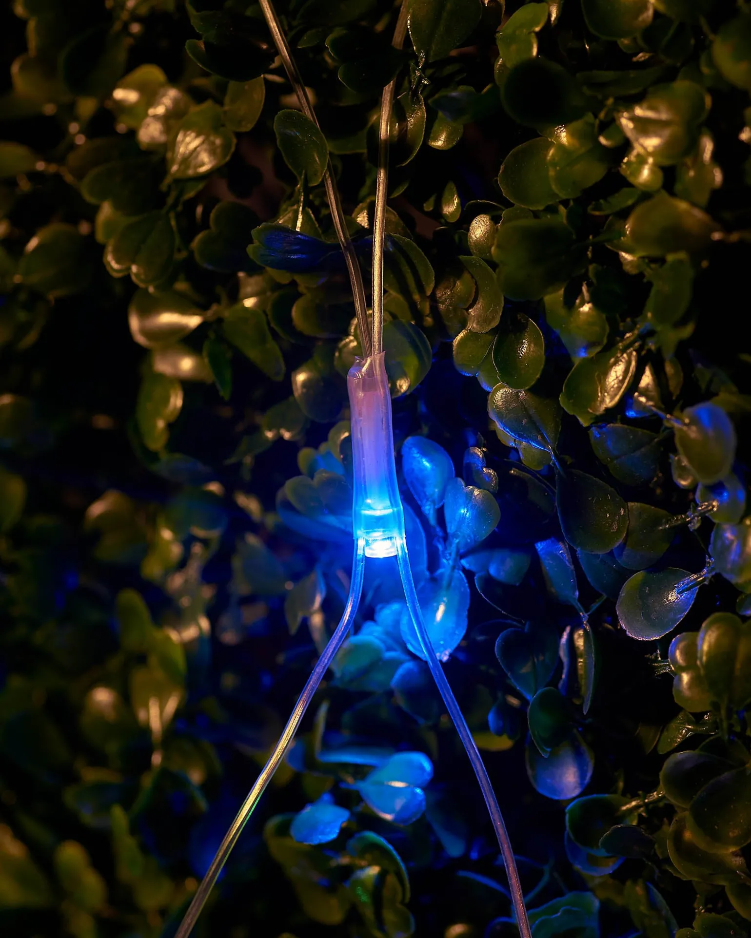 WeRChristmas LINK UP LED Net Lights, 2 M X 2 M, Multi Colour^ Link Up|Curtain & Net Lights