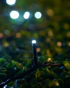 WeRChristmas LINK UP LED String Lights, Black Cable, White^ Link Up|Fairy Lights