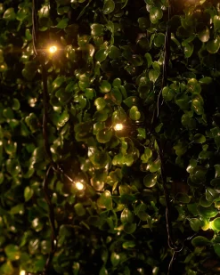 WeRChristmas LINK UP LED String Lights, Black Cable, Warm White^ Link Up|Fairy Lights