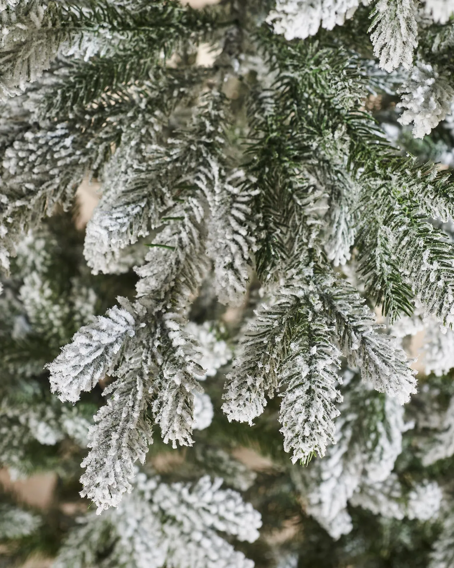 WeRChristmas Luxury Snow Flocked Christmas Tree, 6 Ft^ Premium Christmas Trees|Snow Flocked Christmas Trees