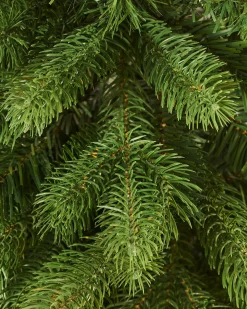 WeRChristmas Mixed Pine Traditional Potted Christmas Tree, 3 Ft^ Budget Christmas Trees|Potted Christmas Trees