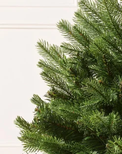 WeRChristmas Mixed Pine Traditional Potted Christmas Tree, 3 Ft^ Budget Christmas Trees|Potted Christmas Trees