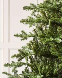 WeRChristmas Nordmann Fir Christmas Tree, 6 Ft^ Budget Christmas Trees|Unlit Christmas Trees