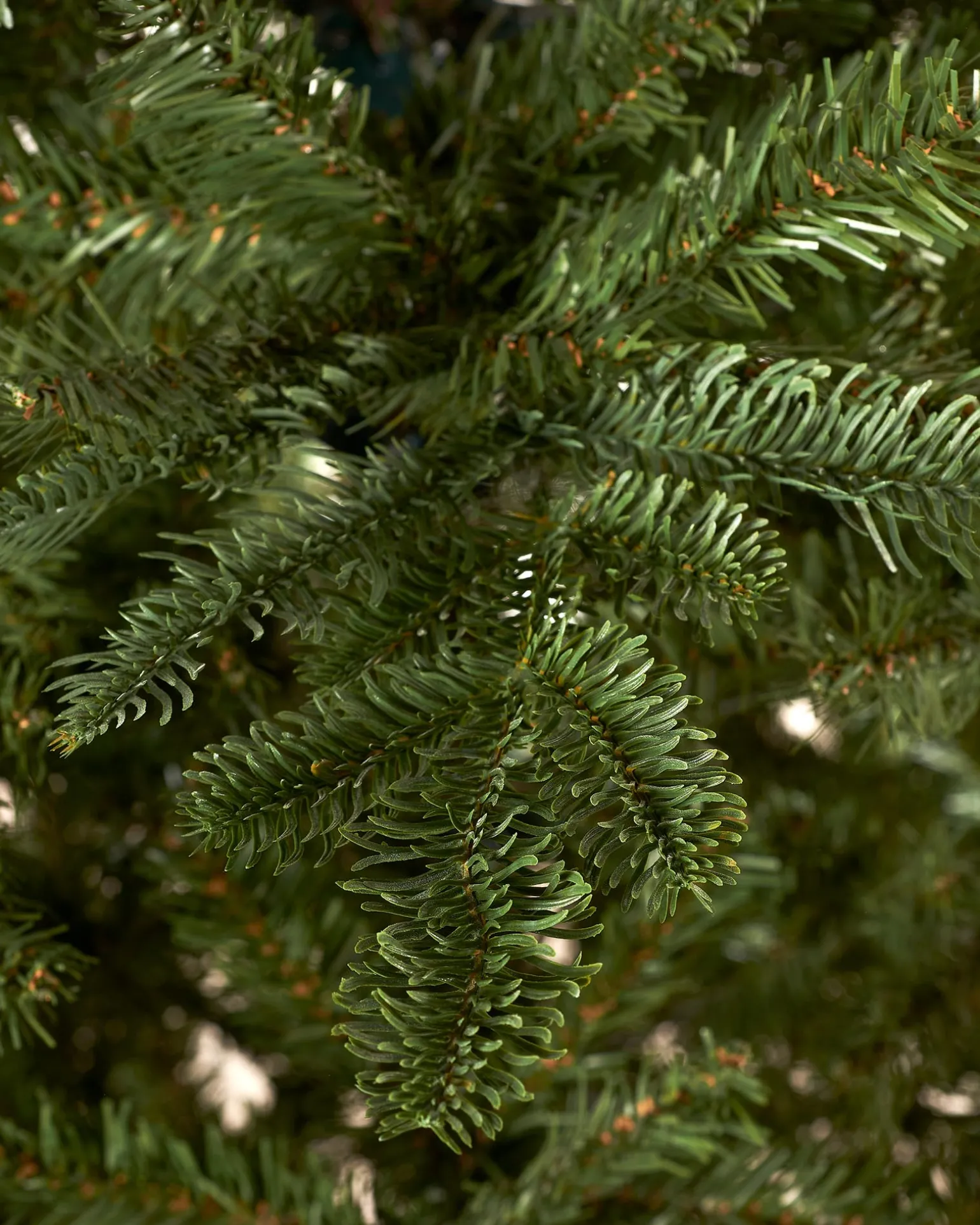 WeRChristmas Nordmann Fir Christmas Tree, 6 Ft^ Budget Christmas Trees|Unlit Christmas Trees