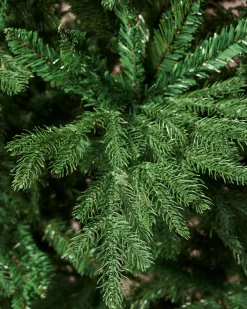 WeRChristmas Northern Fir Christmas Tree, 7 Ft^ Unlit Christmas Trees