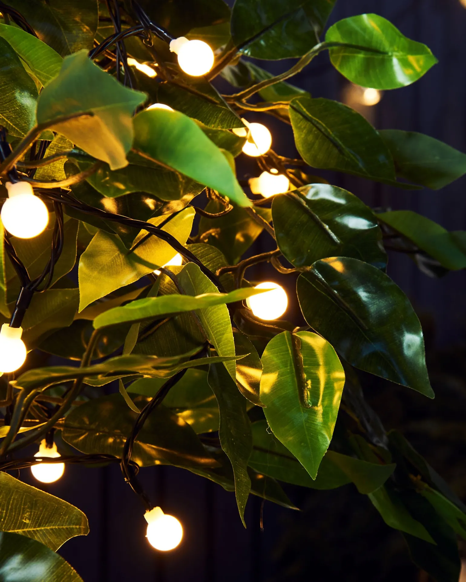 WeRChristmas Outdoor Multi-Function 100 Berry LED Light String, Warm White^ Fairy Lights|Tree Lights