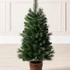 WeRChristmas Potted Victorian Pine Christmas Tree, 3 Ft^ Budget Christmas Trees|Potted Christmas Trees