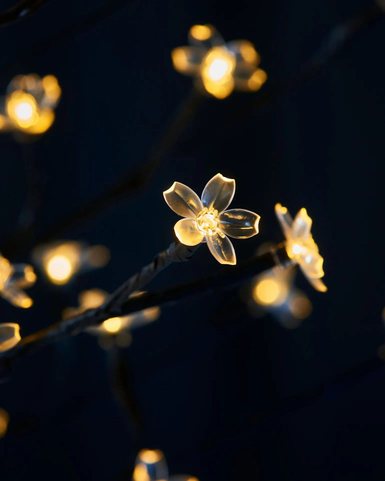WeRChristmas Pre-Lit 200 LED Cherry Blossom Twig Tree, White, 5 Ft^ Tree Silhouettes