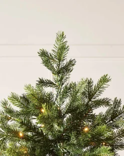 WeRChristmas Pre-Lit Balsam Fir Christmas Tree, 7 Ft^ Premium Christmas Trees|Pre Lit Christmas Trees