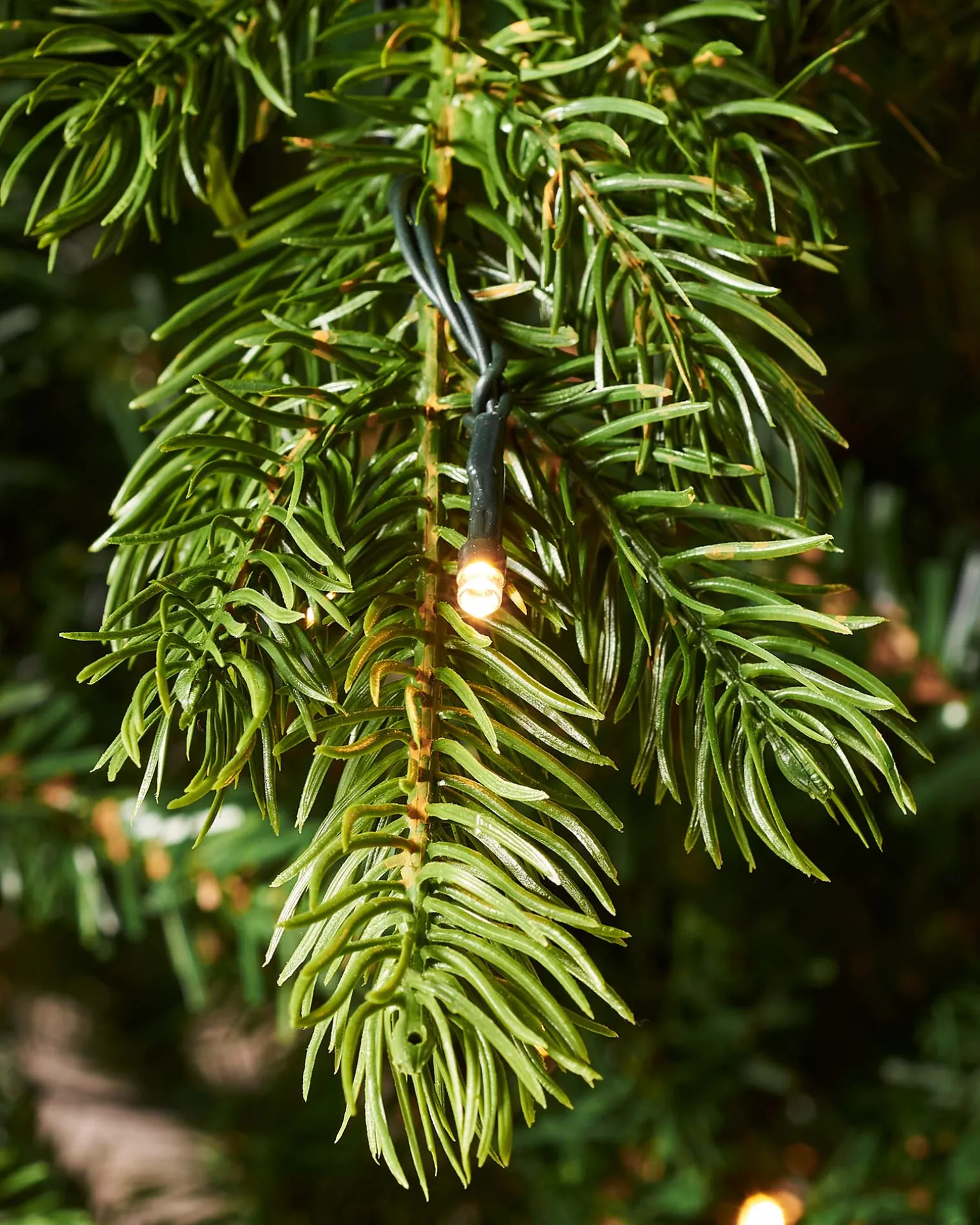 WeRChristmas Pre-Lit Balsam Fir Christmas Tree, 8 Ft^ Premium Christmas Trees|Pre Lit Christmas Trees