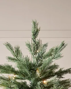 WeRChristmas Pre-Lit Colorado Blue Spruce Christmas Tree, 7 Ft^ Premium Christmas Trees|Pre Lit Christmas Trees