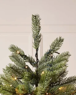 WeRChristmas Pre-Lit Craford Pine Christmas Tree, 7 Ft^ Premium Christmas Trees|Pre Lit Christmas Trees