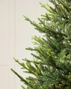 WeRChristmas Pre-Lit Douglas Fir Christmas Tree, 8 Ft^ Premium Christmas Trees|Pre Lit Christmas Trees