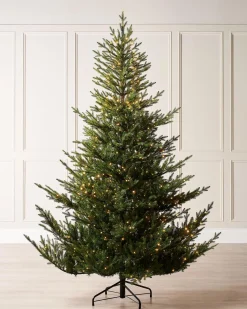 WeRChristmas Pre-Lit Douglas Fir Christmas Tree, 9 Ft^ Premium Christmas Trees|Pre Lit Christmas Trees
