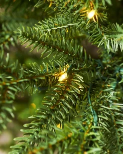 WeRChristmas Pre-Lit Douglas Fir Christmas Tree, 7 Ft^ Premium Christmas Trees|Pre Lit Christmas Trees