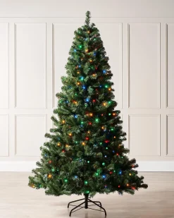 WeRChristmas Pre-Lit Emerald Spruce Christmas Tree, Multi Colour, 7 Ft^ Pre Lit Christmas Trees