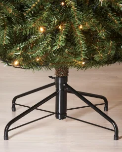 WeRChristmas Pre-Lit Foxtail Pine Christmas Tree, 7 Ft^ Premium Christmas Trees|Pre Lit Christmas Trees