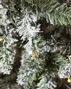 WeRChristmas Pre-Lit Full Bodied Snow Flocked Christmas Tree, 5 Ft^ Budget Christmas Trees|Snow Flocked Christmas Trees