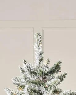 WeRChristmas Pre-Lit Full Bodied Snow Flocked Christmas Tree, 5 Ft^ Budget Christmas Trees|Snow Flocked Christmas Trees