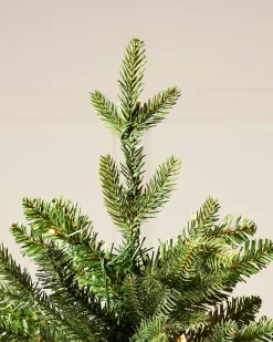 WeRChristmas Pre-Lit Himalayan Fir Christmas Tree, 6 Ft^ Premium Christmas Trees|Pre Lit Christmas Trees
