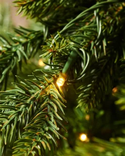 WeRChristmas Pre-Lit Himalayan Fir Christmas Tree, 7 Ft^ Premium Christmas Trees|Pre Lit Christmas Trees