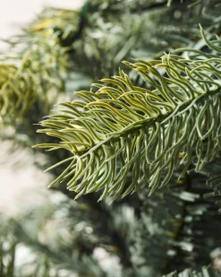 WeRChristmas Pre-Lit Mixed Pine Dual Christmas Tree, 7 Ft^ Pre Lit Christmas Trees